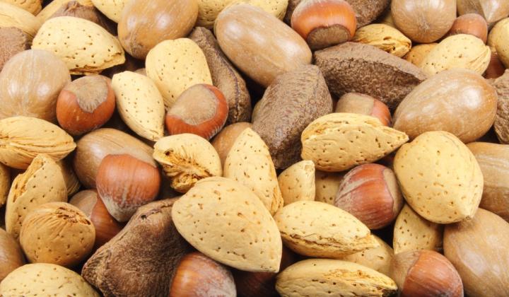 směs různých druhů ořechů