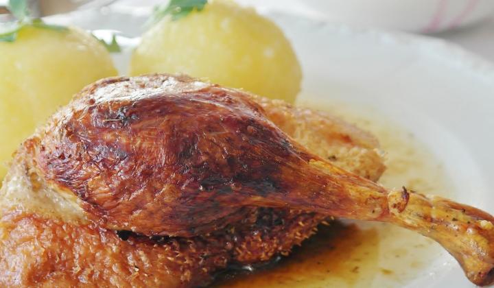 svatomartinská husa svatomartinská husa