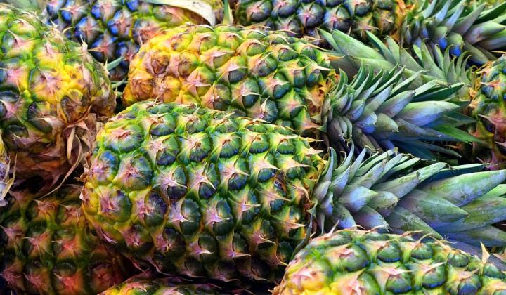 Jak pěstovat ananas | rady