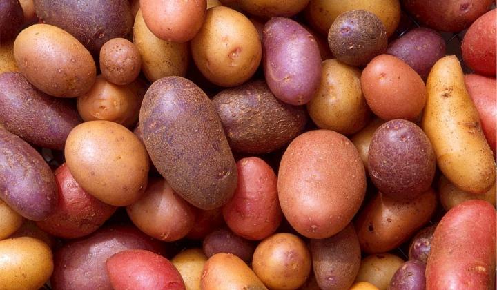 Jak udělat bramborový guláš se smetanou | recept