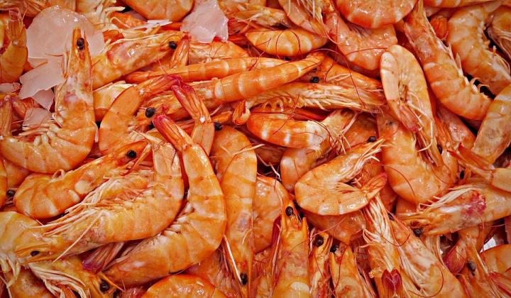 Jak udělat gratinované krevety | recept