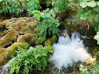 Jak bojovat s komáry | babské rady