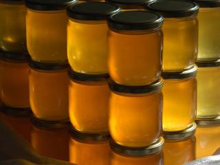 Jak připravit náhražku medu ze smrkových výhonků | recept