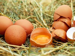 Jak využít vaječné skořápky v zahradě