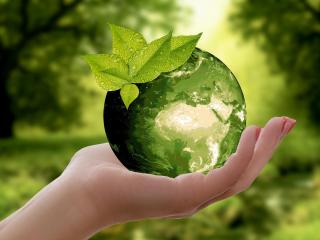 Nejen záchrana stromů, ale i celé přírody aneb Co zvládne třídění a recyklace odpadů