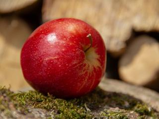 Jak na pečená jablka | recept na opékaná jablka nad ohněm
