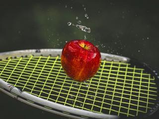 Jak si vybrat squashovou raketu | rady