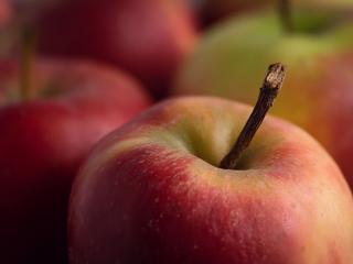 Jak udělat jablečná povidla | recept