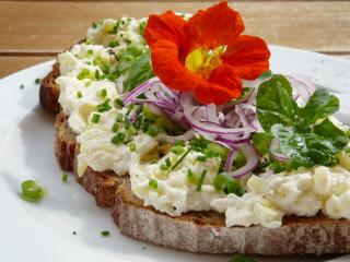 Jak udělat bramborovou pomazánku na chlebíčky | recept