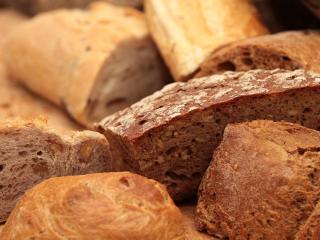 Jak se orientovat ve výběru chleba | rady