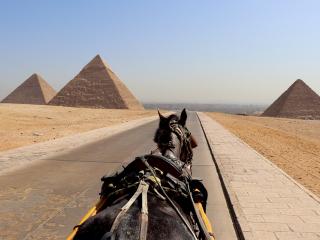 Jak zvolit vhodnou dobu pro návštěvu Egypta? | rady