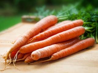 Jak udělat mrkvovou pomazánku | recept na zdravou pomazánku