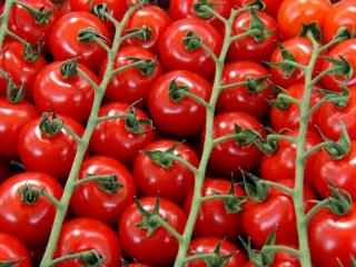 Jak udělat rajčatový salát | recept na lehký letní salát