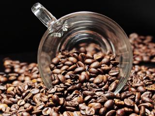 Jak se vyznat v kávě | tipy