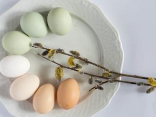 Jak vyfouknout velikonoční vajíčko jednou dírkou | postup