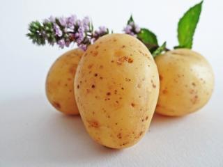 Jak využít bramborovou šťávu | rady pro zdraví