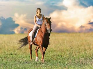 Jak nasednout na koně