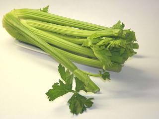 Jak pěstovat řapíkatý celer