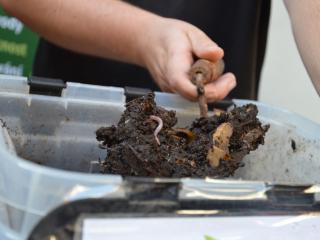 Jak na žížalový kompostér – vermikompostování