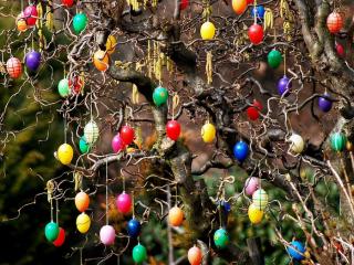 Jak udělat jednoduché velikonoční dekorace | návody