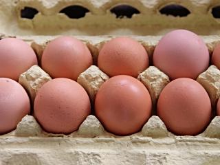 Jak nakupovat a skladovat vejce | rady a tipy