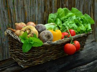 Jak funguje předplatné zeleniny neboli komunitou podporované zemědělství (KPZ)