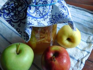 Jak vyrobit domácí jablečný ocet