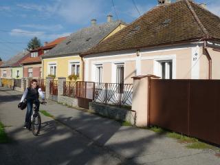 Město Bük leží v absolutní rovině (i když za dobré viditelnosti lemují obzor skalnaté štíty Alp). V Büku se proto hodně jezdí na kole. Chodníky jsou vybaveny cyklostezkami. Cyklisté jsou vlídní, a když se jim nějaký chodec „motá“ po stezce, jen vesele zazvoní nebo zavolají. Nenadávají jako v Česku. V Büku funguje i půjčovna bicyklů pro rekreanty.