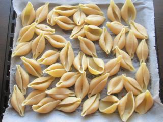 Jak připravit zapečené conchiglioni se špenátovou ricottou | recept na zapečené těstoviny Jak připravit zapečené conchiglioni se špenátovou ricottou | recept na zapečené těstoviny