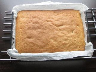 Jak upéct piškot s čokoládou, ořechy a sušenými švestkami | recept Jak upéct piškot s čokoládou, ořechy a sušenými švestkami | recept