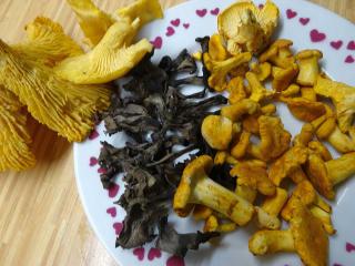 Jak připravit nudličky z vepřového masa s houbami | recept