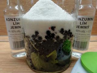 Jak udělat domácí likér z černého rybízu | recept