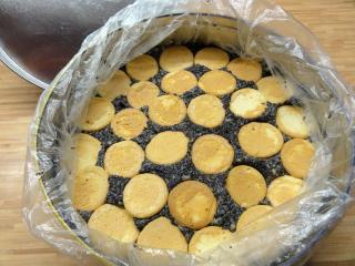 Jak připravit nepečený makový dort z piškotů | kousky piškotů ve formě
