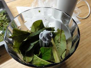 Jak fermentovat bylinky na čaj | návod na kvašení bylin