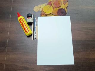 Jak vyrobit obrázek z barevných podzimních listů | tip na dekoraci 