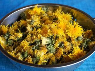 Jak zpracovat květy pampelišek | recepty z pampelišek na želé, čaj a sušenky