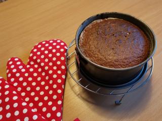 Jak upéct vynikající dort s krémem ze Salka | recept Jak upéct vynikající dort s krémem ze Salka | recept