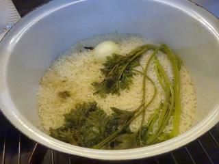 Jak uvařit rýži tak, aby se nelepila | recept Jak uvařit rýži tak, aby se nelepila | recept