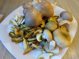 Jak udělat karbanátky z pohanky a hub | recept bez masa Jak udělat karbanátky z pohanky a hub | recept bez masa