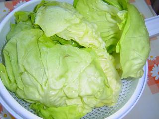 Proč vařit polévku ze salátu, když ho můžeme sníst syrový? Není škoda jarní zeleniny plné vitaminů? Důvody mohou být různé. Ten nejčastější je, že nám v domácnosti přebývá salát (nebo jeho okrajové tmavší listy), o který není příliš velký zájem. Například dostaneme od zahrádkáře košík hlávkového salátu, ale naší rodince, „zmlsané“ slaďoučkým a křehoučkým ledovým salátem už ten „obyčejný“ nejede. Anebo držíme nějakou dietu – bezsacharidovou (ketonovou), bezlepkovou - a salátová polévka nám poskytne kýženou z