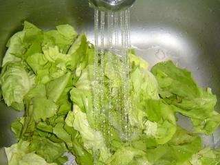 Hlávkový salát rozebereme na listy a důkladně propereme ve studené vodě. Máme-li dřezovou sprchu, použijeme ji. Každý list prohlédneme, hlavně na spodní straně salátového žebra může ulpívat zemina ze záhonu. Pochází-li salát ze zahrádky, mohou se v listech skrývat i drobní slimáci. Necháme okapat.