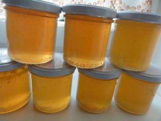 Jak připravit náhražku medu ze smrkových výhonků | recept