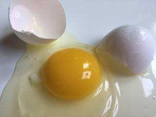 Jak obohatit jídelníček vejci | rady a nápady