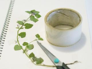 Jak s dětmi vyrobit herbář Jak s dětmi vyrobit herbář