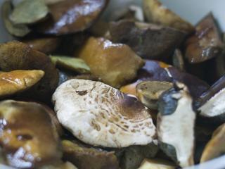 Jak připravit houby smažené v těstíčku