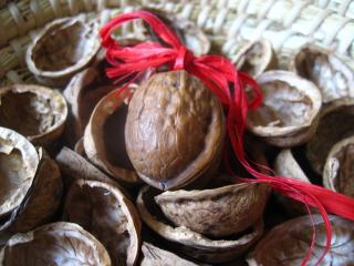Jak využít skořápky, slupky a listí z vlašských ořechů