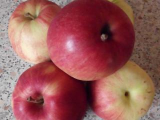 Jak zdravé je jablko | recept na jablkový crumble