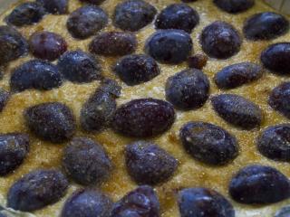 Jak upéct rychlý tvarohový koláč se švestkami | recept