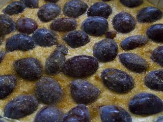 Jak upéct rychlý tvarohový koláč se švestkami | recept