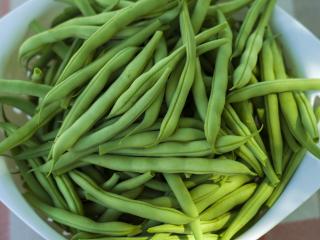 Jak zpracovat fazolové lusky